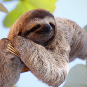 фото: https://kipmu.ru/