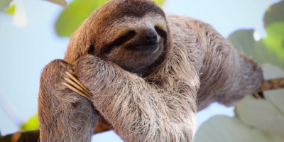 фото: https://kipmu.ru/ 