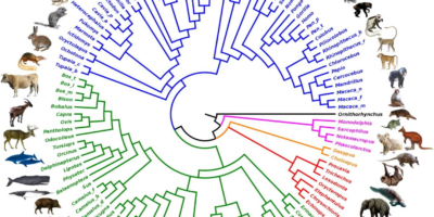 фото: https://sciencetoday.ru/ 