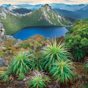 фото: https://vsegda-pomnim.com/