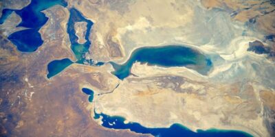 фото: https://cdn.fishki.net/ 