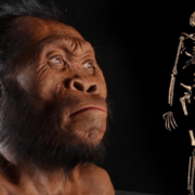 фото: https://ab-news.ru/