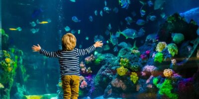 фото: https://www.onetwotrip.com/ 