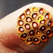 фото: https://avatars.dzeninfra.ru/