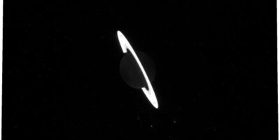 фото: https://www.sciencealert.com/ 