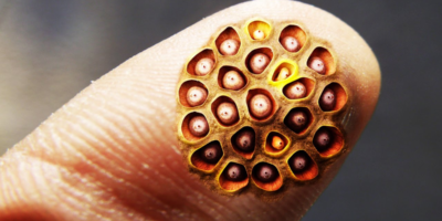 фото: https://avatars.dzeninfra.ru/