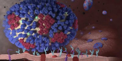 фото: Centers for Disease Control and Prevention