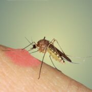 фото: https://stopklopam.com/