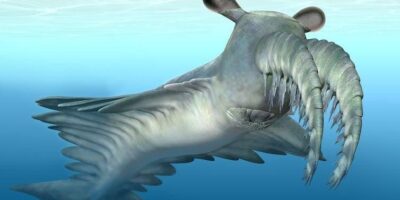 фото: https://static.independent.co.uk/