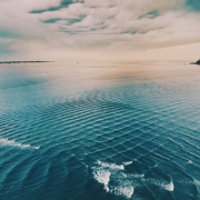 фото: https://tn.fishki.net/