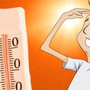 фото: https://gas-kvas.com/