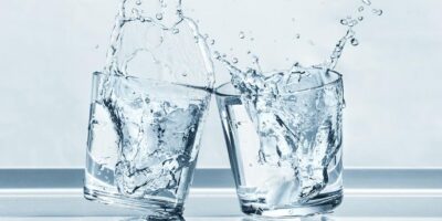 фото: https://ecologyofrussia.ru/ 