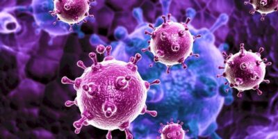 фото: https://webpulse.imgsmail.ru/ 