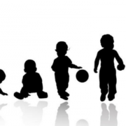 фото: https://vaikra.com/