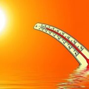 фото: https://pbs.twimg.com/