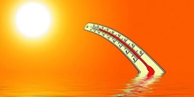 фото: https://pbs.twimg.com/ 