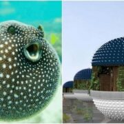 фото: https://cdn.fishki.net/