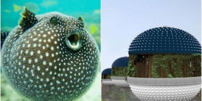 фото: https://cdn.fishki.net/ 