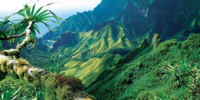 фото: https://vsegda-pomnim.com/ 