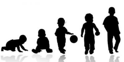 фото: https://vaikra.com/ 