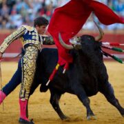 фото: https://pbs.twimg.com/ 