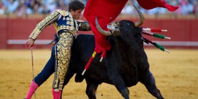 фото: https://pbs.twimg.com/ 