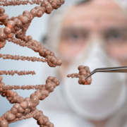 фото: https://grodno24.com/