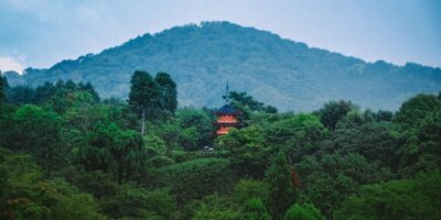 фото: https://geoinfo.ru/ 