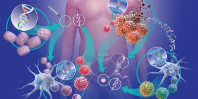 фото: https://grodno24.com/ 