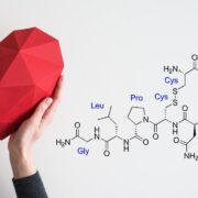 фото: https://grodno24.com/