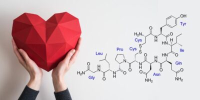 фото: https://grodno24.com/ 