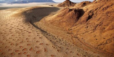 фото: https://i.natgeofe.com/ 