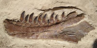 фото: https://focus.ua/ 