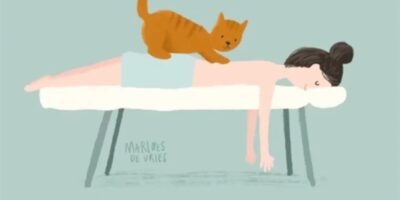 фото: https://avatars.mds.yandex.net/ 