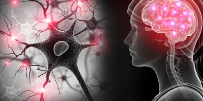 фото: https://edatop.ru/