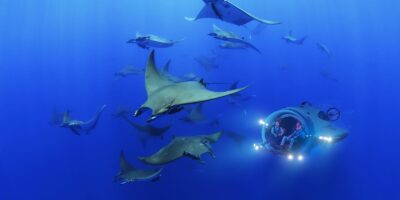 фото: https://assets.newatlas.com/ 