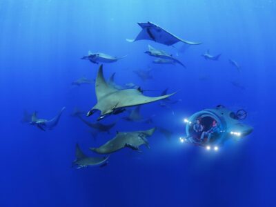 фото: https://assets.newatlas.com/