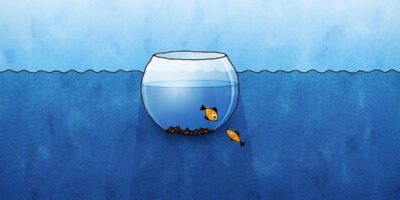 фото: https://i06.fotocdn.net/ 