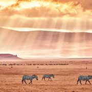фото: https://s9.travelask.ru/