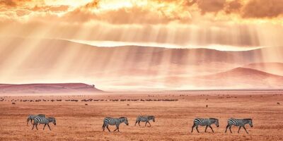 фото: https://s9.travelask.ru/ 