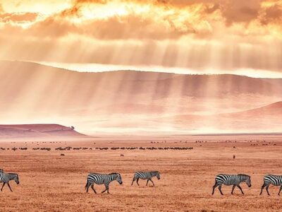 фото: https://s9.travelask.ru/