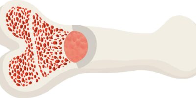 фото: https://childrenscience.ru/ 