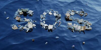 фото: https://mediaex.ru/ 