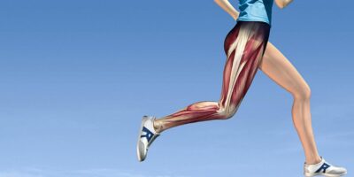 фото: https://www.oum.ru/ 