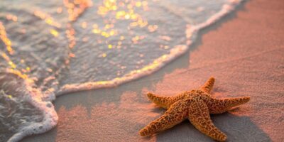 фото: https://99px.ru/ 