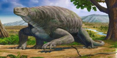 фото: https://s00.yaplakal.com/ 