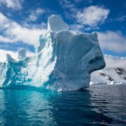 фото: https://fikiwiki.com/