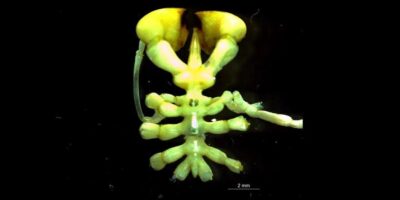 фото: Andrew Mahon