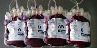 фото: https://image.kurier.at/ 