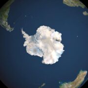 фото: https://thumbor.forbes.com/